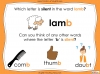 Silent Letters  - Year 5 and 6 Teaching Resources (slide 6/23)